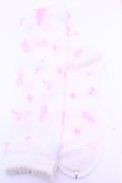画像1: BABY,THE STARS SHINE BRIGHT / ガーデンアリス柄オーバーニーソックス  オフシロ O-25-12-25-1035-BA-ZA-IG-OS (1)