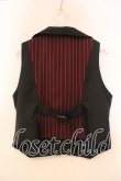 画像3: axes femme kawaii / 切替えベスト  ワイン×ブラック O-25-12-30-083-AX-TO-IG-OS (3)