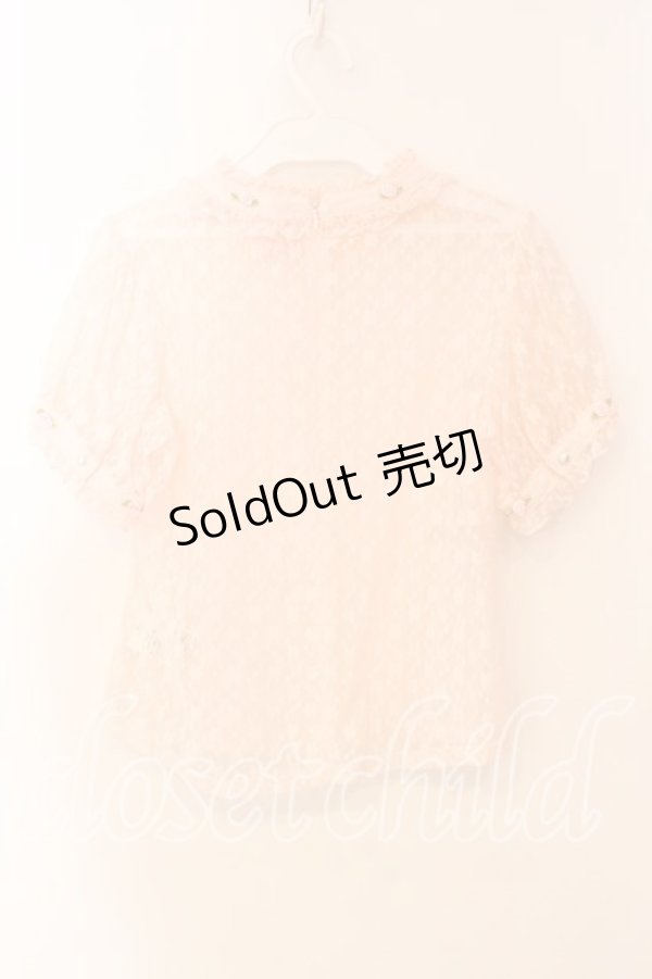 画像2: Swankiss / 総レーストップス F ピンク O-25-12-30-010-CA-TO-YM-ZT0104P (2)