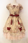 画像1: Pina sweetcollection / フリルスカラップワンピース  ローズ柄・ベージュ O-26-01-08-022-LO-OP-IG-OS (1)