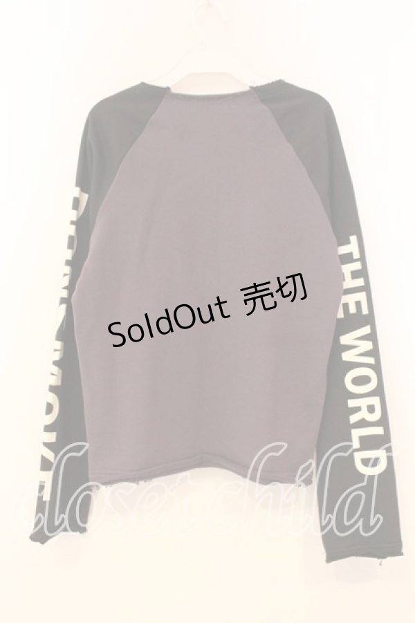 画像3: DONSMOKE / × NANA ラグランカットソー S パープル O-26-01-08-041-0-TO-IG-OS (3)