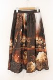 画像3: axes femme Nostalgic / 幻想街柄ロングスカート  ブラウン O-26-01-12-027-LO-SK-IG-OS (3)