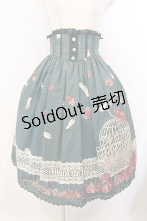 画像: ALICE and the PIRATES / The END of immortal EDEN柄スカート  グリーン O-26-01-13-008-PA-SK-IG-OS