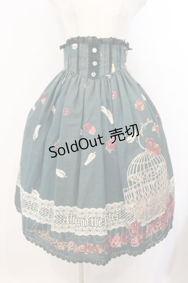 画像1: ALICE and the PIRATES / The END of immortal EDEN柄スカート  グリーン O-26-01-13-008-PA-SK-IG-OS (1)