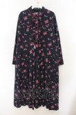 画像1: Jane Marple Dans Le Salon / Rosy diary shirt dress（ロージーデイリーシャツドレス） M ネイビー O-26-01-17-039-JM-OP-IG-OS (1)