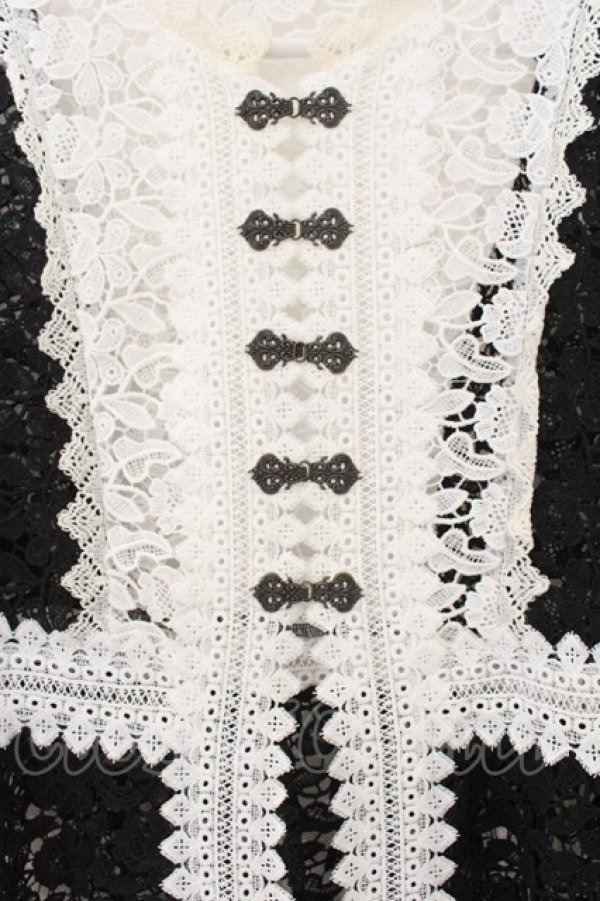 画像2: axes femme NOSTALGIE / 配色使い総レースガウン F クロ×キナリ O-26-01-17-061-AX-TO-OW-OS (2)