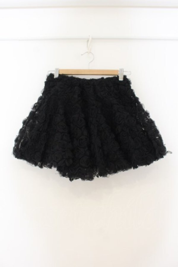 画像1: Pain / ローズチュールミニスカート F クロ O-26-01-19-031-PU-SK-OW-OS (1)