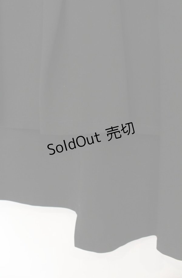 画像2: ALGONQUINS / プリーツレイヤーアシメスカート F ブラック O-26-01-19-1006-AL-SK-YM-OS (2)