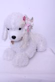 画像2: JESUS DIAMANTE / プードルぬいぐるみ（伏せポーズ）  シロ O-26-01-20-1039-JE-ZA-OW-OS (2)