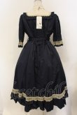 画像5: Victorian maiden / クラシカルドールハーフスリーブロングドレス グローバルサイズ サファイア O-26-01-26-007-CL-OP-OW-OS (5)
