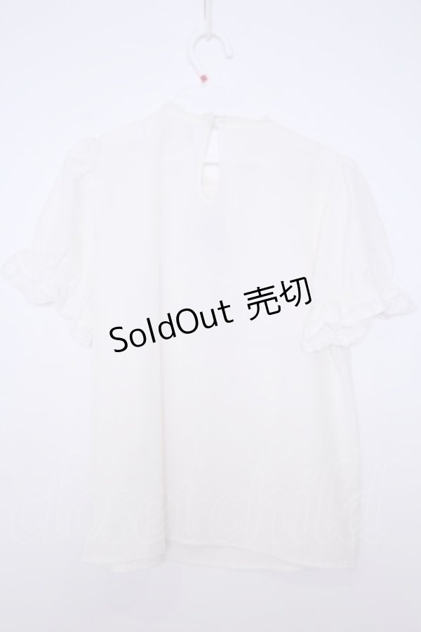 画像2: Ank Rouge / ローズ刺繍ヨーク半袖ブラウス  シロ O-26-01-28-067-CA-BL-IG-OS (2)