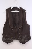 画像1: axes femme / ジップデザインベスト M ブラウン O-26-02-04-1069-AX-TO-IG-OS (1)