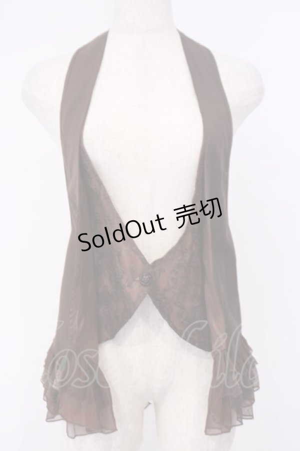 画像1: axes femme / トロンプルイユベスト  ブラウン O-26-02-04-1003-AX-TO-IG-OS (1)