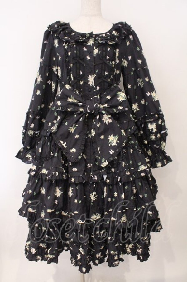 画像1: 伊 之 【海外ロリィタ】 / Spring of Eden ワンピース  クロ O-26-02-16-034-LO-OP-IG-OS (1)