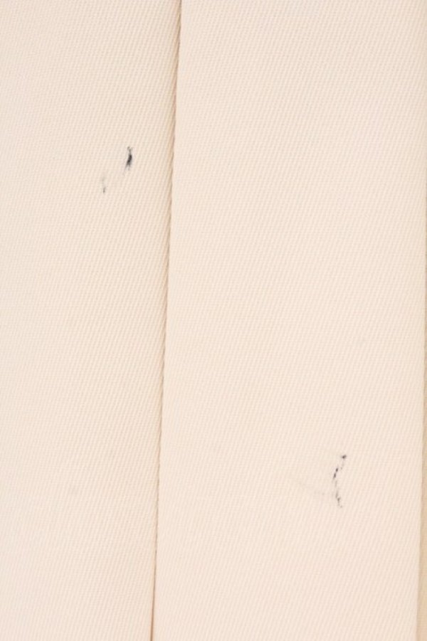 画像2: evelyn / ビジュープリーツスカート  アイボリー O-26-02-16-055-LO-SK-OW-OS (2)