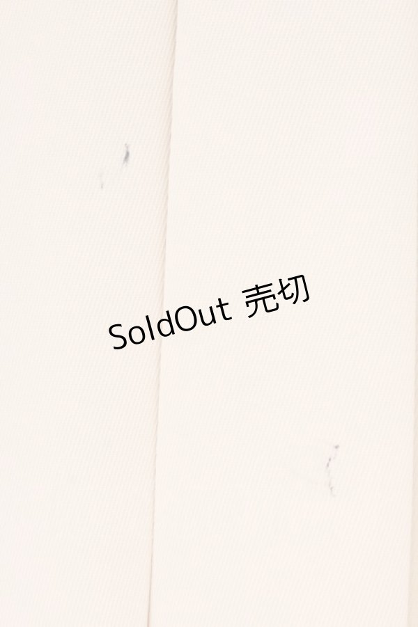 画像2: evelyn / ビジュープリーツスカート  アイボリー O-26-02-16-055-LO-SK-OW-OS (2)