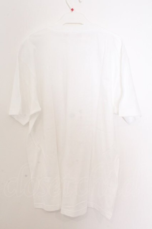 画像3: Enchantlic Enchantilly / オリジナルプリントTシャツ L 猫の肖像画 O-26-02-18-039-LO-TS-OW-OS (3)