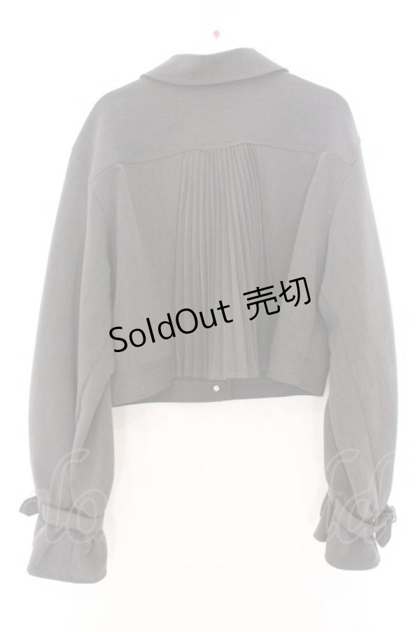 画像3: axes femme POETIQUE / バックプリーツブルゾン  グレー O-26-02-18-1036-AX-JA-IG-OS (3)