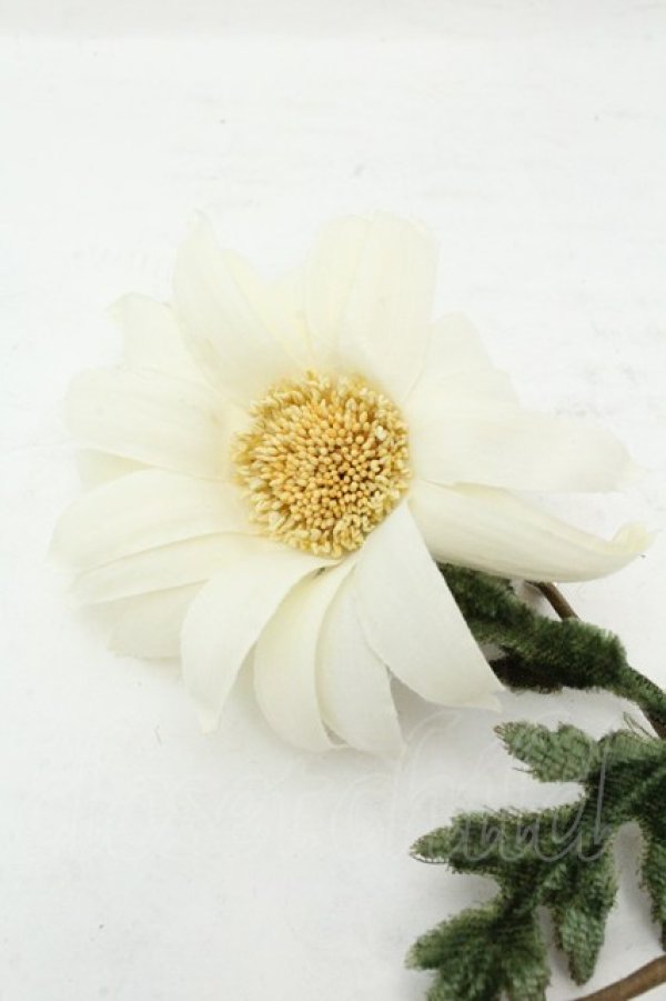 画像2: PINK HOUSE / マーガレットコサージュ  シロ O-26-02-19-087-LO-ZA-IG-ZT0220C (2)