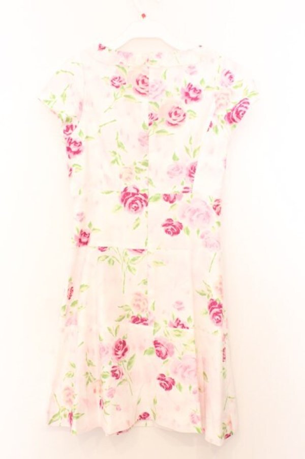 画像4: JESUS DIAMANTE / ミシュランディナーワンピース 40 ぼかし薔薇 O-26-02-21-040-JE-OP-IG-OS (4)