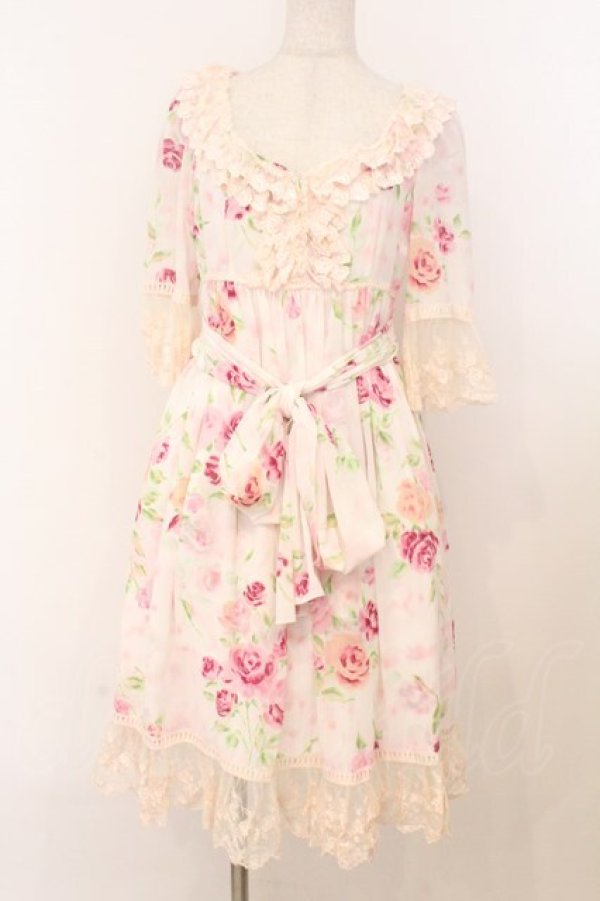 画像1: JESUS DIAMANTE / スペシャルアントワーヌワンピース  ぼかし薔薇 O-26-02-21-059-JE-OP-IG-OS (1)