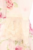 画像4: JESUS DIAMANTE / スペシャルアントワーヌワンピース  ぼかし薔薇 O-26-02-21-059-JE-OP-IG-OS (4)