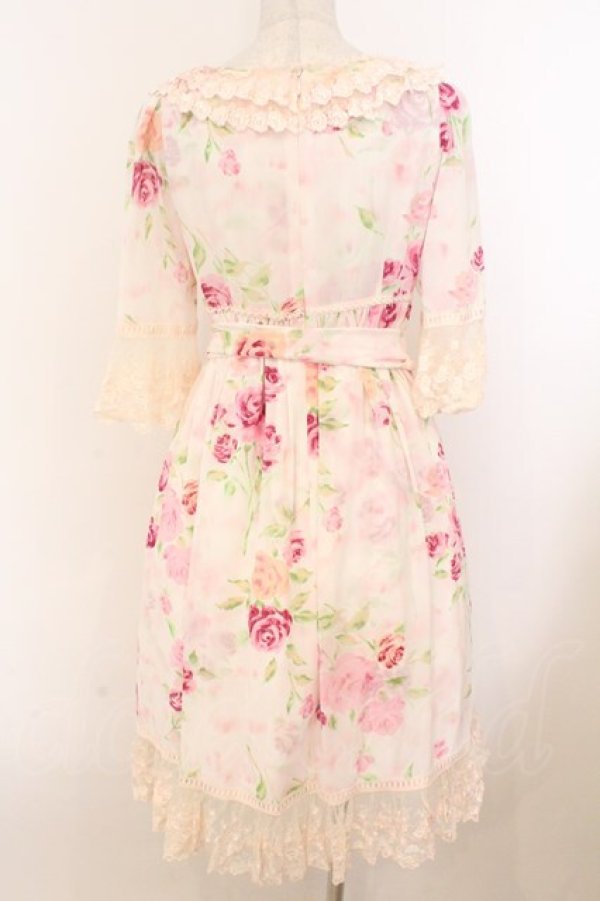 画像5: JESUS DIAMANTE / スペシャルアントワーヌワンピース  ぼかし薔薇 O-26-02-21-059-JE-OP-IG-OS (5)