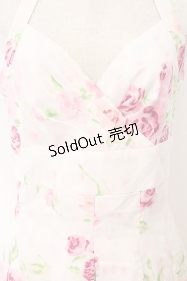 画像2: JESUS DIAMANTE / 魅惑ワンピ 42 ぼかし薔薇 O-26-02-21-002-JE-OP-IG-OS (2)