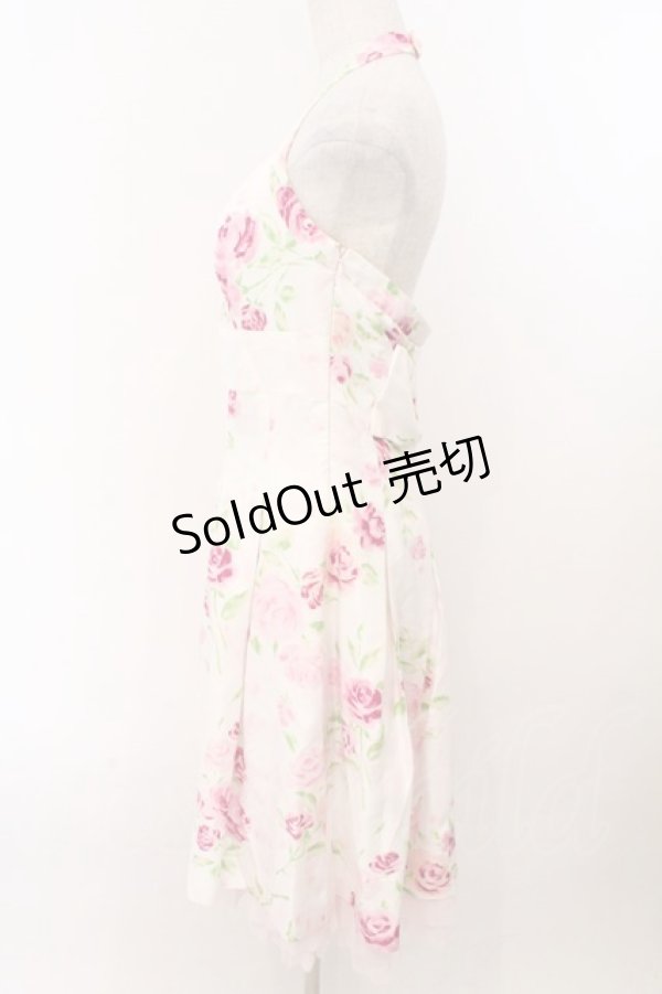 画像3: JESUS DIAMANTE / 魅惑ワンピ 42 ぼかし薔薇 O-26-02-21-002-JE-OP-IG-OS (3)