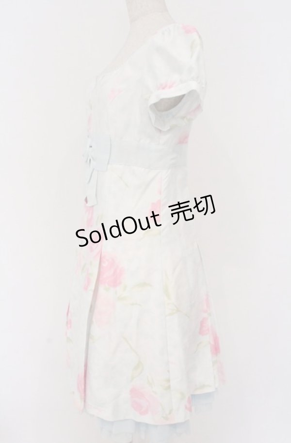 画像3: JESUS DIAMANTE / コアクマワンピース 42 ヒョウ薔薇柄サックス O-26-02-24-1056-JE-OP-OW-OS (3)