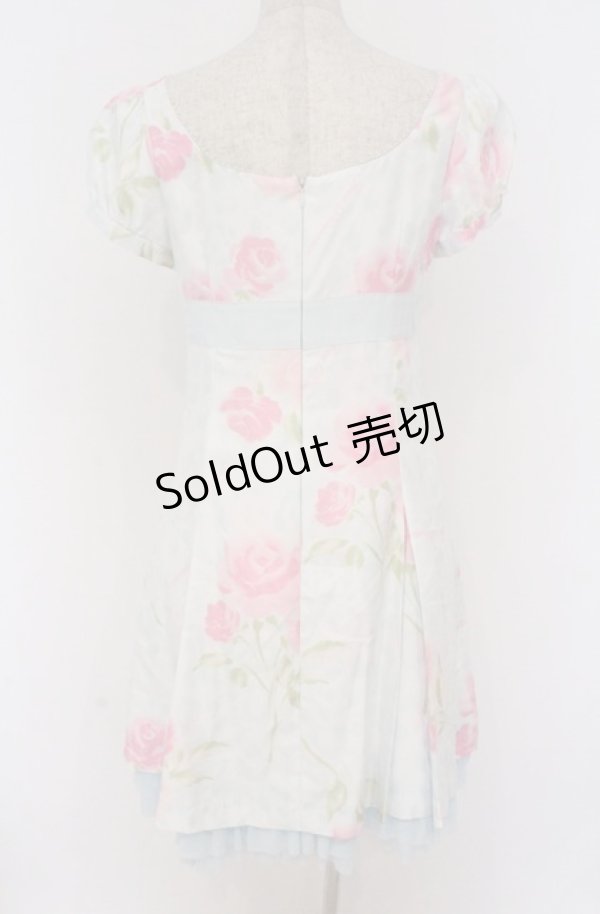 画像4: JESUS DIAMANTE / コアクマワンピース 42 ヒョウ薔薇柄サックス O-26-02-24-1056-JE-OP-OW-OS (4)