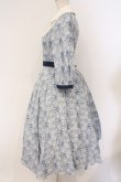 画像4: Innocent World / 英国の花園ワンピース M ブルー O-26-02-26-057-IW-OP-IG-OS (4)