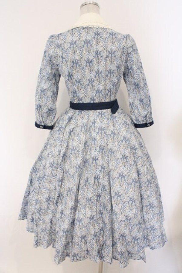 画像6: Innocent World / 英国の花園ワンピース M ブルー O-26-02-26-057-IW-OP-IG-OS (6)