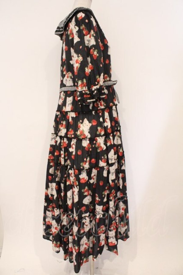 画像4: alcali / alcali × misako aoki/サイベリアンストロベリーワンピース  クロ O-26-03-03-012-LO-OP-OW-OS (4)