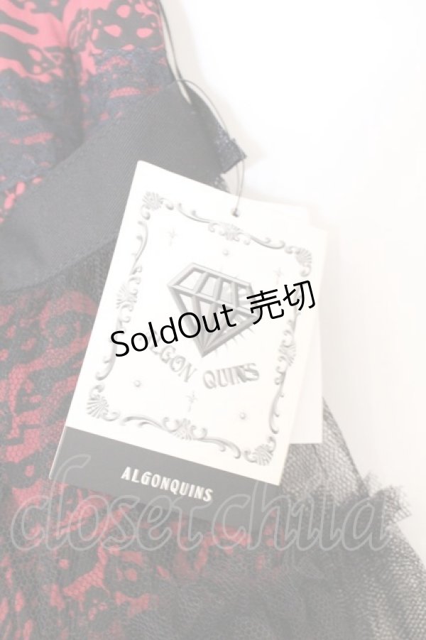 画像2: ALGONQUINS / スカルゼブラ柄イレヘムミニスカート  レッド×ブラック O-26-03-04-053-AL-SK-IG-OS (2)