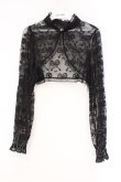 画像1: DearMyLove / レースショートブラウス L クロ O-26-03-31-004-EL-TO-IG-OS (1)