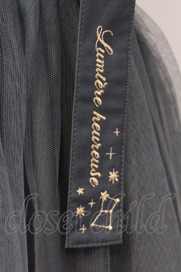 画像2: axes femme POETIQUE / 刺繍サス付チュールスカート  グリーン O-26-04-04-073-AX-SK-IG-OS (2)