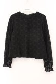 画像1: an another angelus / チュールレースプルオーバーブラウス  クロ O-26-04-04-017-CA-BL-IG-OS (1)