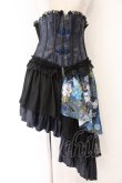 画像1: Qutie Frash / コルセットスカート  ブルー×ブラック O-26-04-07-039-QU-SK-OW-OS (1)