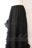 画像2: Qutie Frash / 蜘蛛メッシュロングスカート  ブラック O-26-04-07-047-QU-SK-OW-OS (2)