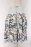 画像3: Rozen Kavalier / ボタニカルオーナメント柄スカート  サックス O-26-04-07-054-OO-SK-OW-OS (3)