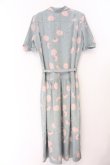 画像3: INGEBORG / カーネーションドットワンピース  ブルー系 O-26-04-07-007-LO-OP-IG-OS (3)