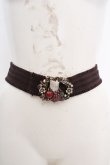 画像2: axes femme / シーズナルフルーツゴムベルト  ブラウン×ゴールド O-26-04-09-1033-AX-ZA-IG-OS (2)