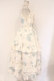 画像5: LUCKY FLOWER / Tower of Flower ティアードドレス  アイボリー×サックス O-26-04-09-006-LO-OP-IG-OS (5)