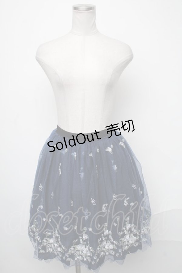 画像1: axes femme POETIQUE / 刺繍チュールスカート  紺 S-25-01-17-071-AX-SK-AS-ZS (1)
