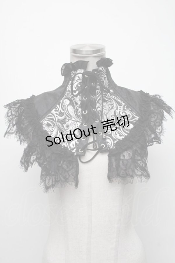 画像6: Qutie Frash / 2023-蘿月-プレミアムセット  黒ｘシルバー S-25-01-31-054-QU-OP-AS-ZI (6)