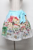 画像1: Jane Marple / Golden goose townスカート  オフ S-25-02-11-075-JM-SK-HR-ZT066 (1)