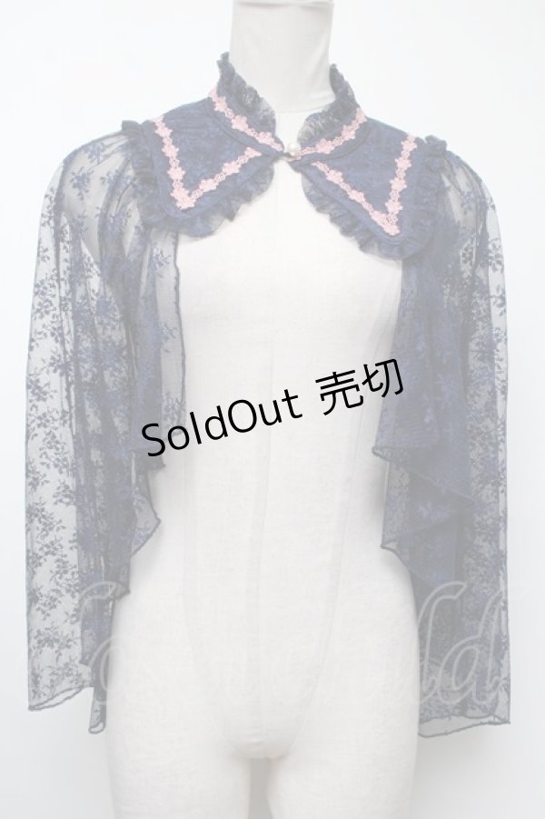 画像1: axes femme kawaii / ブルーミングレースケープ  紺 S-25-02-17-030-AX-JA-HR-ZS (1)