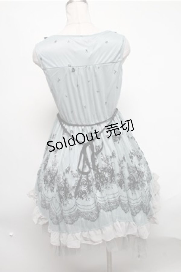 画像2: axes femme / チュールフロッキー切替ワンピース  サックス S-25-02-19-058-AX-OP-HR-ZS (2)
