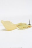 画像2: Q-pot. / マカロニピアス   S-25-03-10-1042-QP-AC-AS-ZS (2)